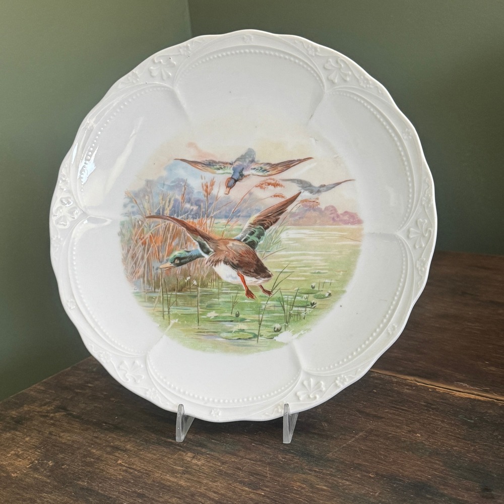 Vintage Germany Mallard Ducks Porcelain Decorative Plate Scalloped Edge White